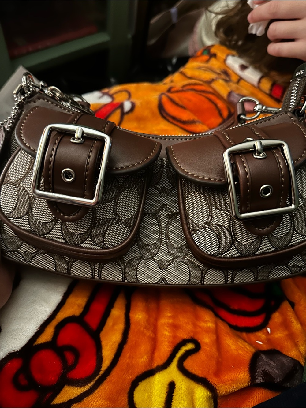 Coach brown signature Ashton monogram bag